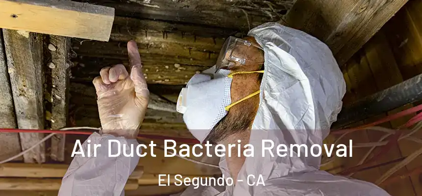  Air Duct Bacteria Removal El Segundo - CA