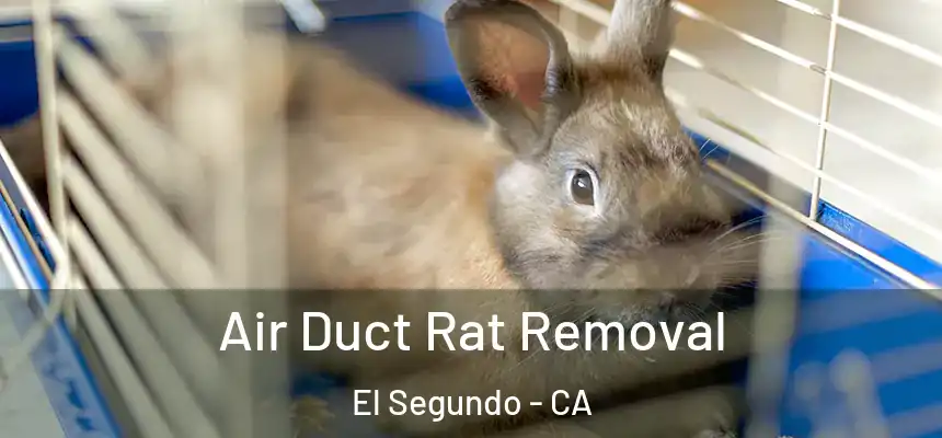  Air Duct Rat Removal El Segundo - CA