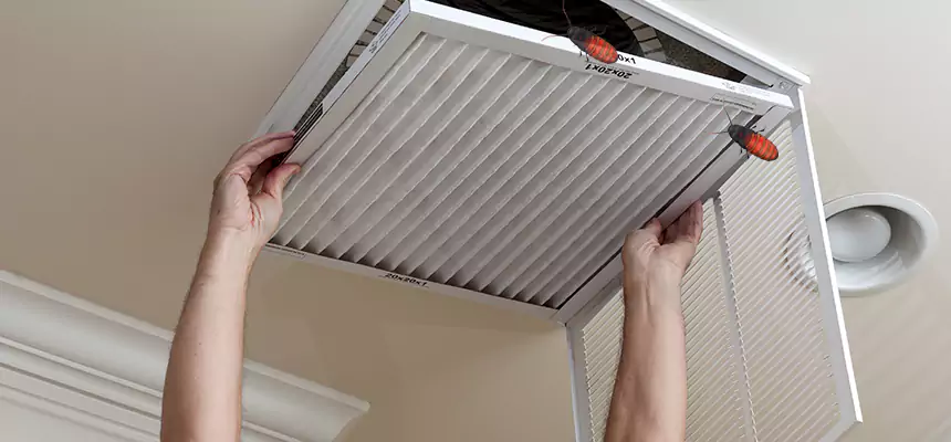 Our Insect Removal from Air Ducts Services in El Segundo, CA