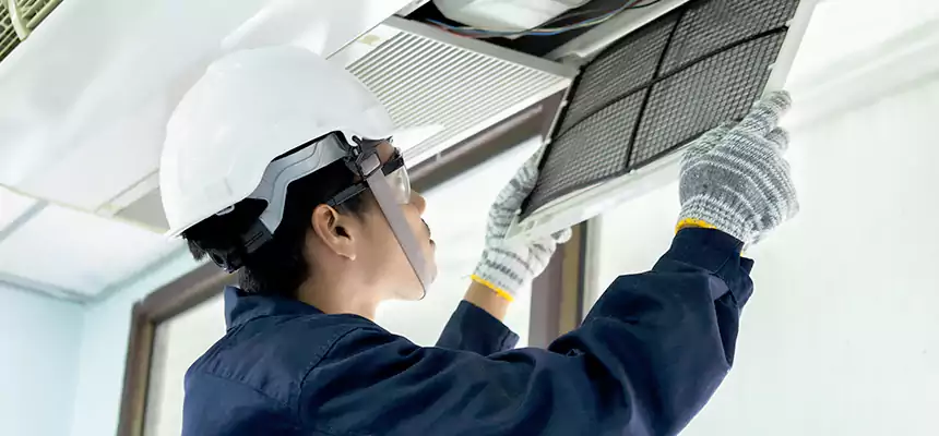 Our Mold & Mildew Removal from Air Ducts Services in El Segundo, CA