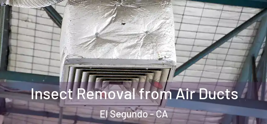  Insect Removal from Air Ducts El Segundo - CA