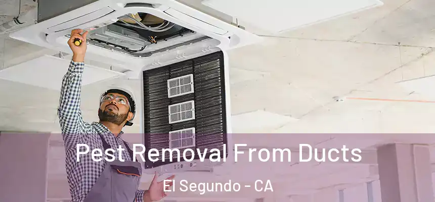  Pest Removal From Ducts El Segundo - CA