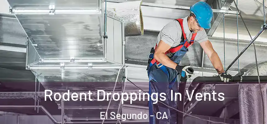  Rodent Droppings In Vents El Segundo - CA
