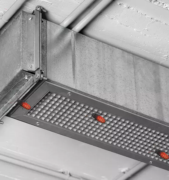 Affordable Insect Removal from Air Ducts in El Segundo, CA