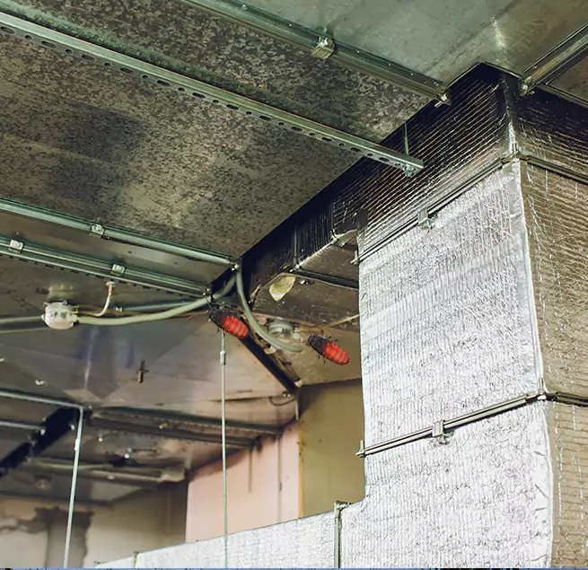 Why Homeowners & Businesses Trust Us in El Segundo, CA?