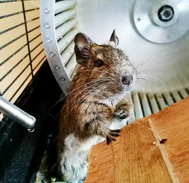 Why Homeowners & Businesses Trust Us El Segundo, CA?